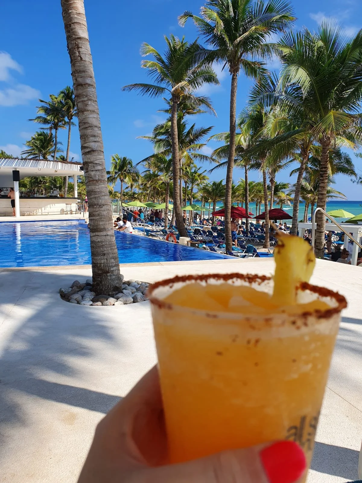 WhatsApp Image 2024-07-19 at 15.39.53 (2).jpeg