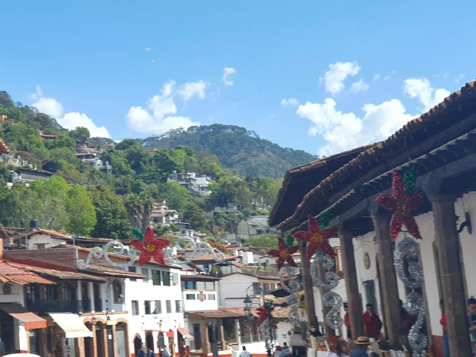 WhatsApp Image 2024-07-19 at 16.12.49 (1).jpeg