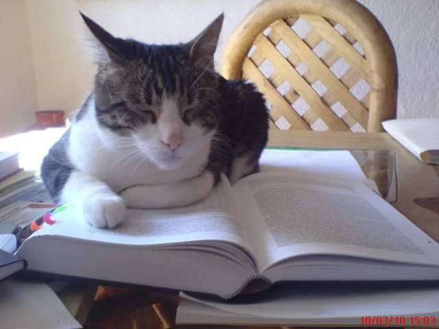 WhatsApp Image 2024-07-19 at 13.49.26 (1).jpeg