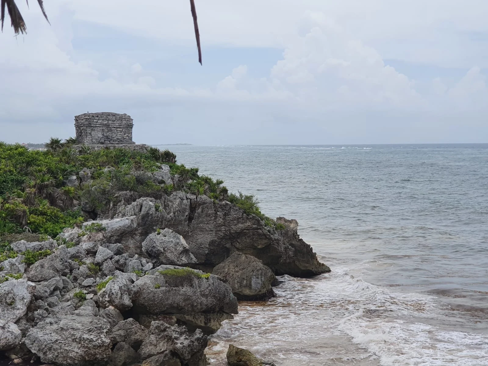 WhatsApp Image 2024-07-18 at 14.27.06 (5).jpeg