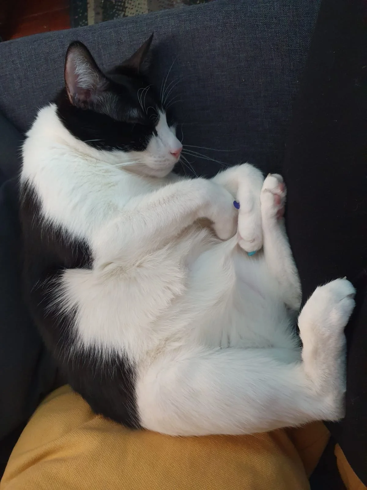 WhatsApp Image 2024-07-18 at 14.27.05 (2).jpeg