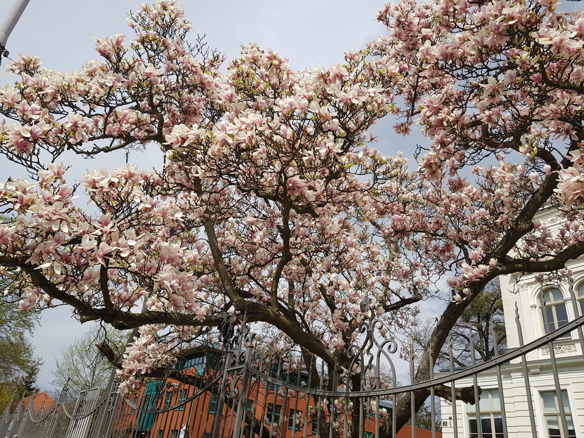 WhatsApp Image 2024-07-19 at 16.12.46.jpeg