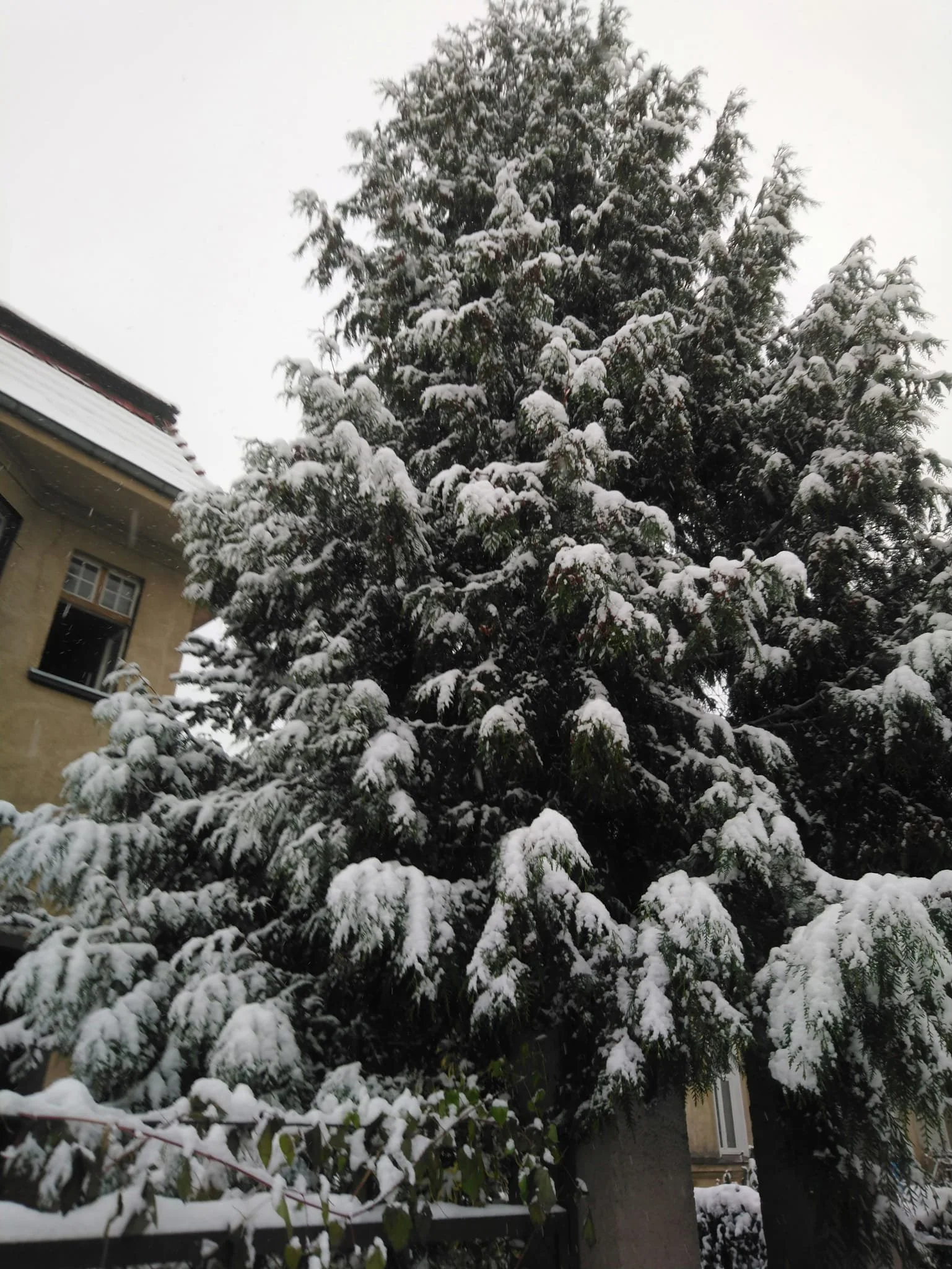 WhatsApp Image 2024-07-19 at 15.39.56 (3).jpeg