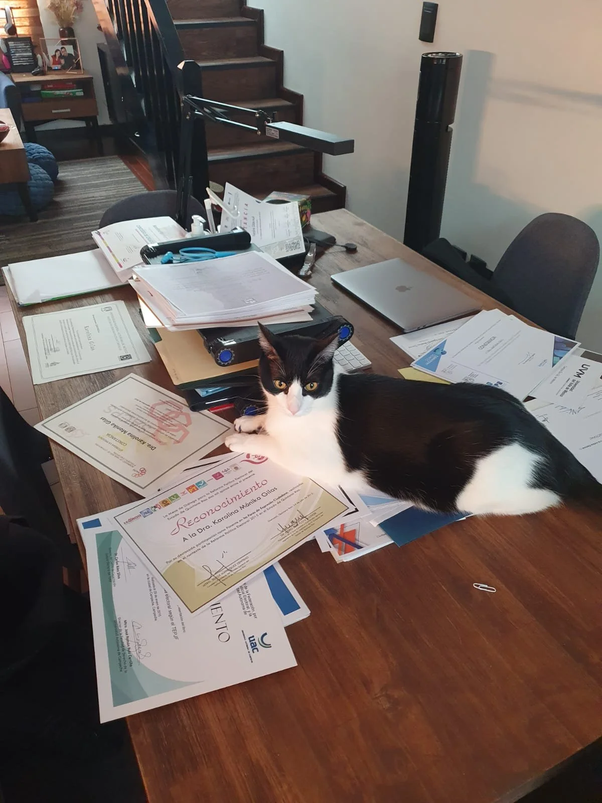 WhatsApp Image 2024-07-18 at 14.27.05 (4).jpeg