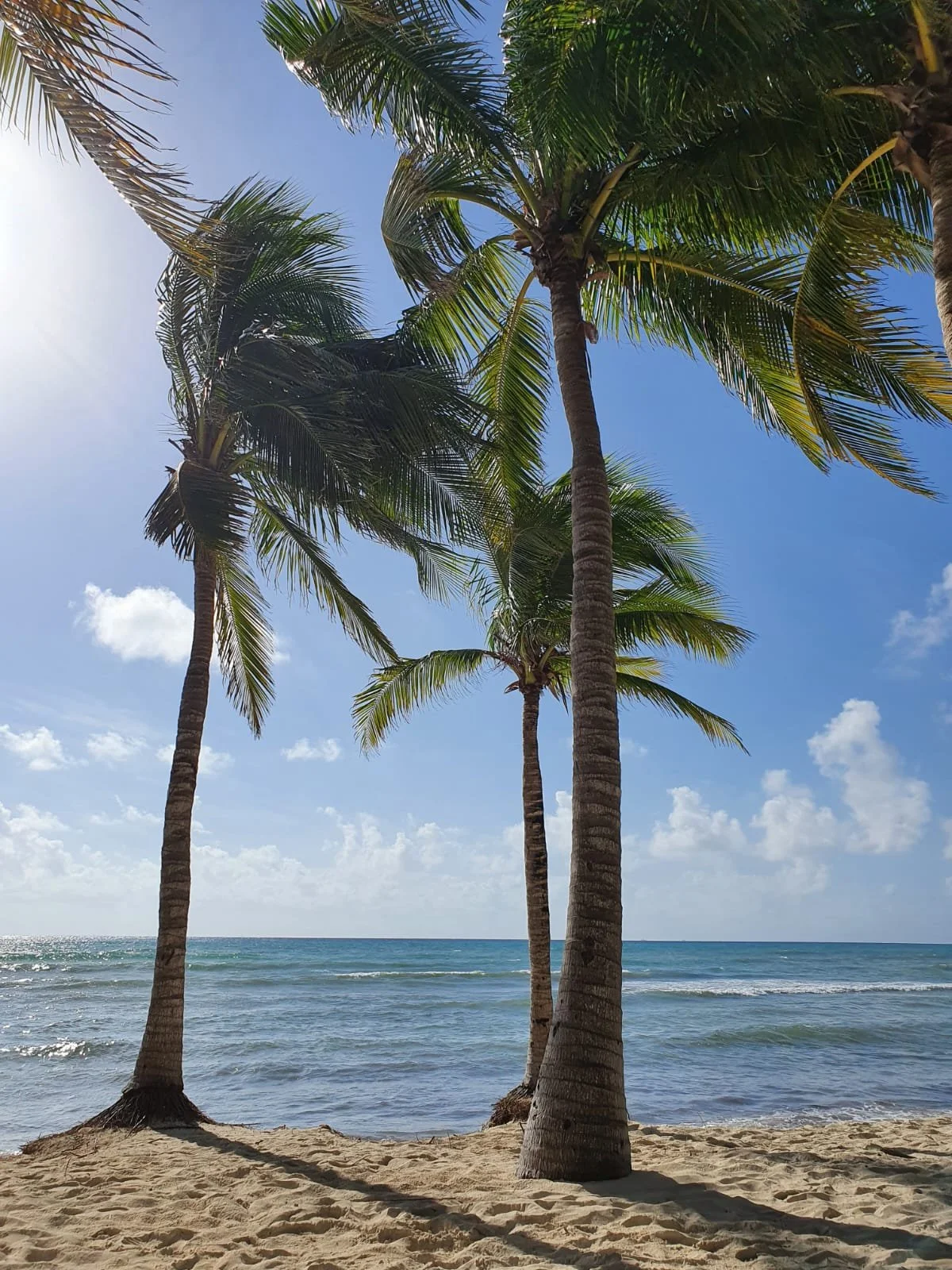 WhatsApp Image 2024-07-19 at 15.39.58.jpeg