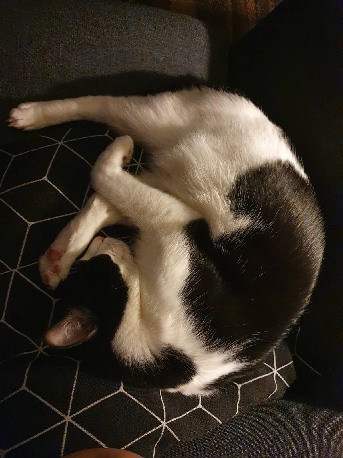 WhatsApp Image 2024-07-19 at 13.49.16.jpeg