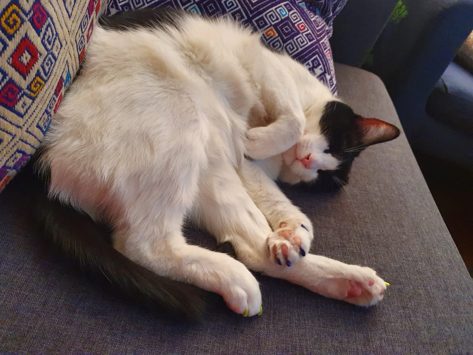 WhatsApp Image 2024-07-19 at 15.39.58 (3).jpeg