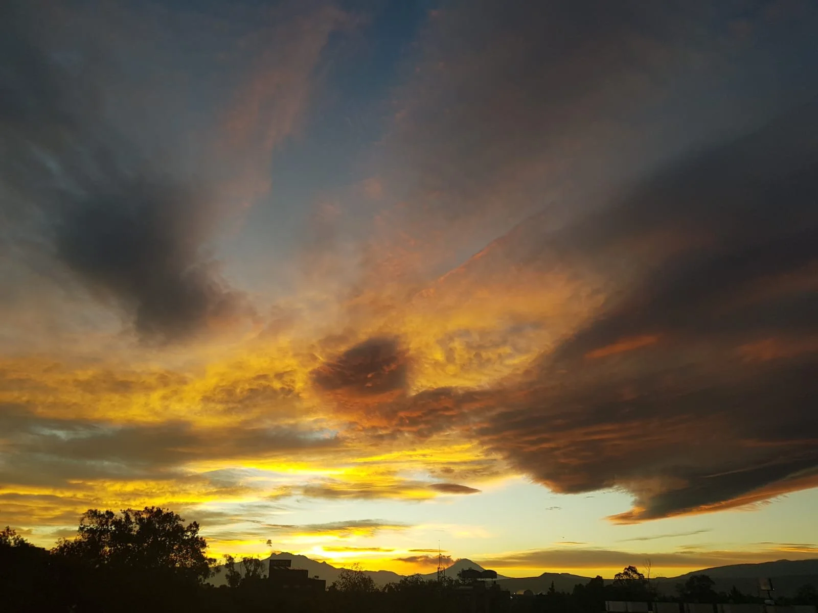 WhatsApp Image 2024-07-18 at 18.41.08 (1).jpeg