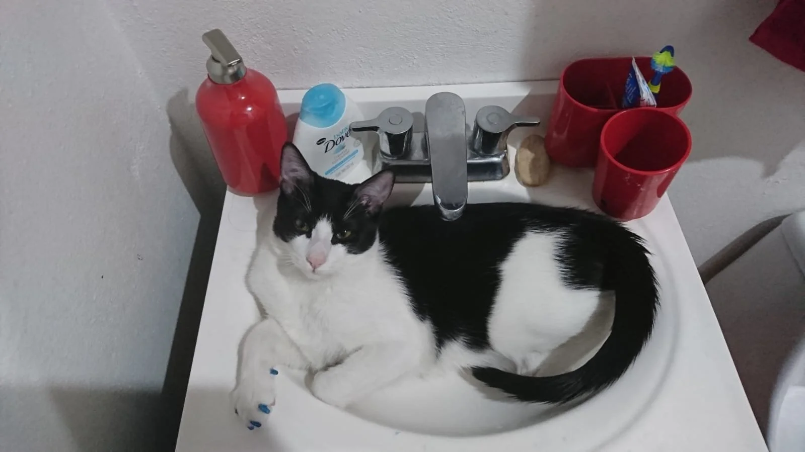 WhatsApp Image 2024-07-18 at 18.35.17.jpeg