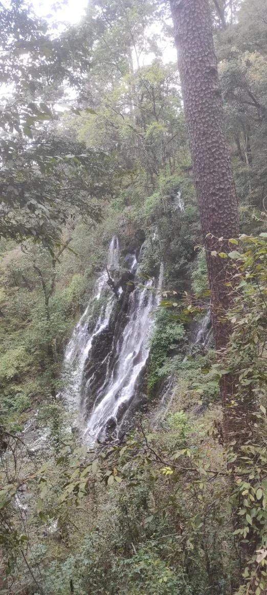 WhatsApp Image 2024-07-19 at 16.12.47 (3).jpeg