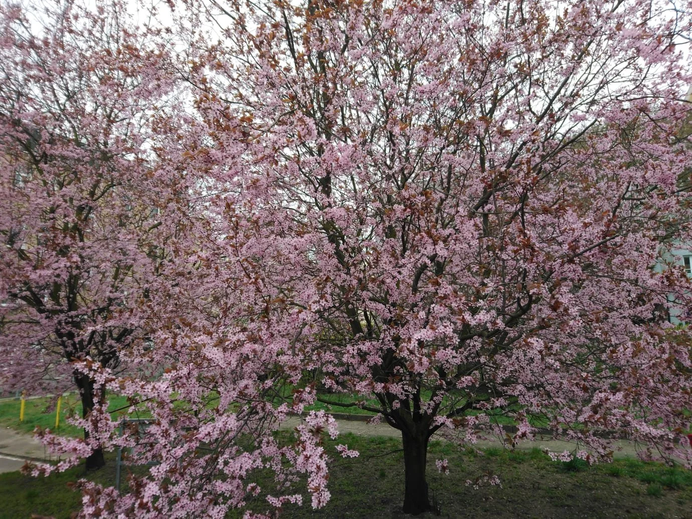 WhatsApp Image 2024-07-18 at 14.27.08.jpeg