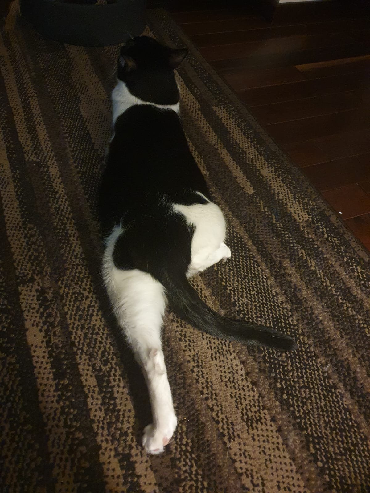 WhatsApp Image 2024-07-19 at 13.49.16 (2).jpeg