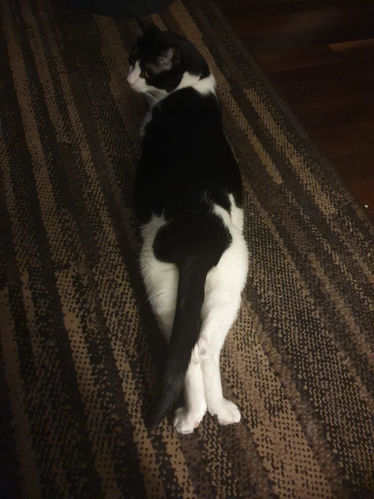 WhatsApp Image 2024-07-19 at 13.49.16 (3).jpeg