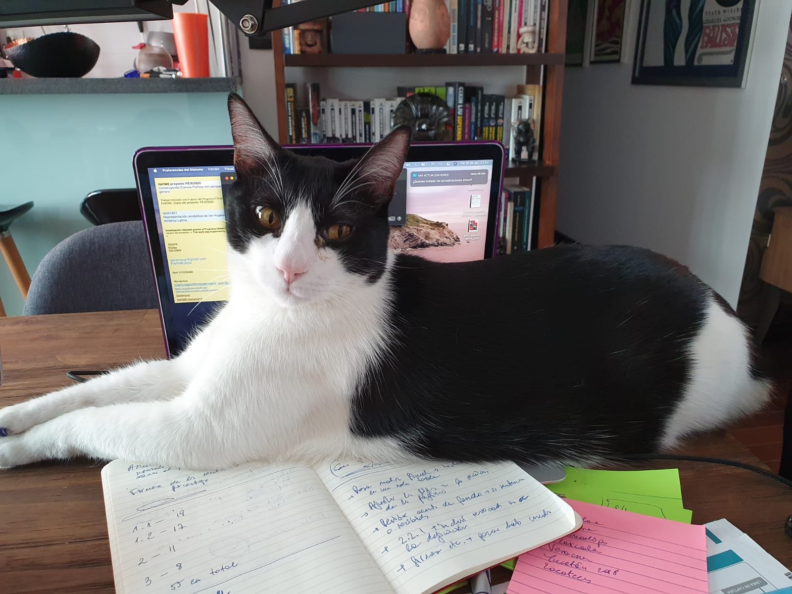 WhatsApp Image 2024-07-19 at 15.39.54 (1).jpeg