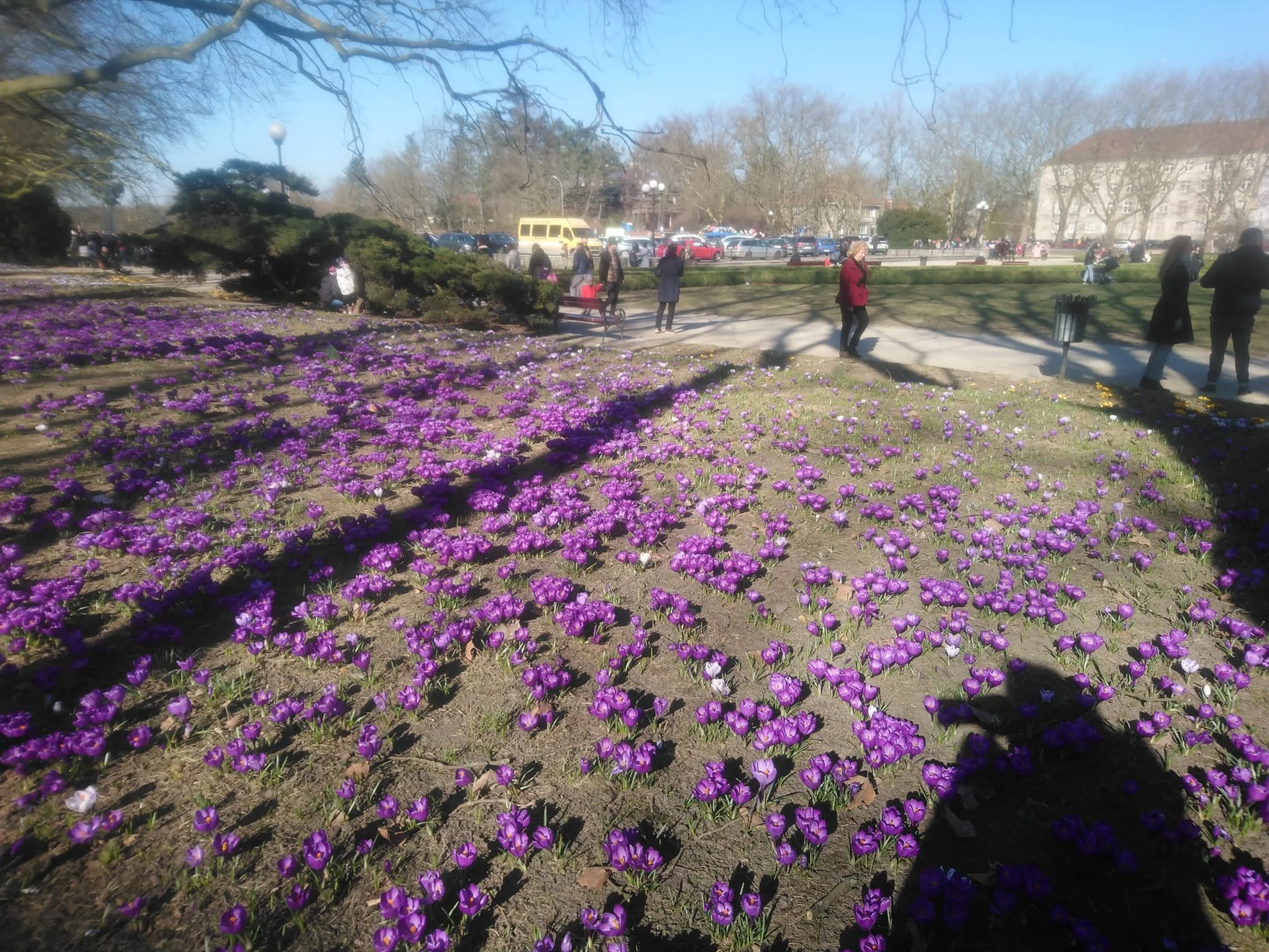 WhatsApp Image 2024-07-19 at 15.40.00 (4).jpeg