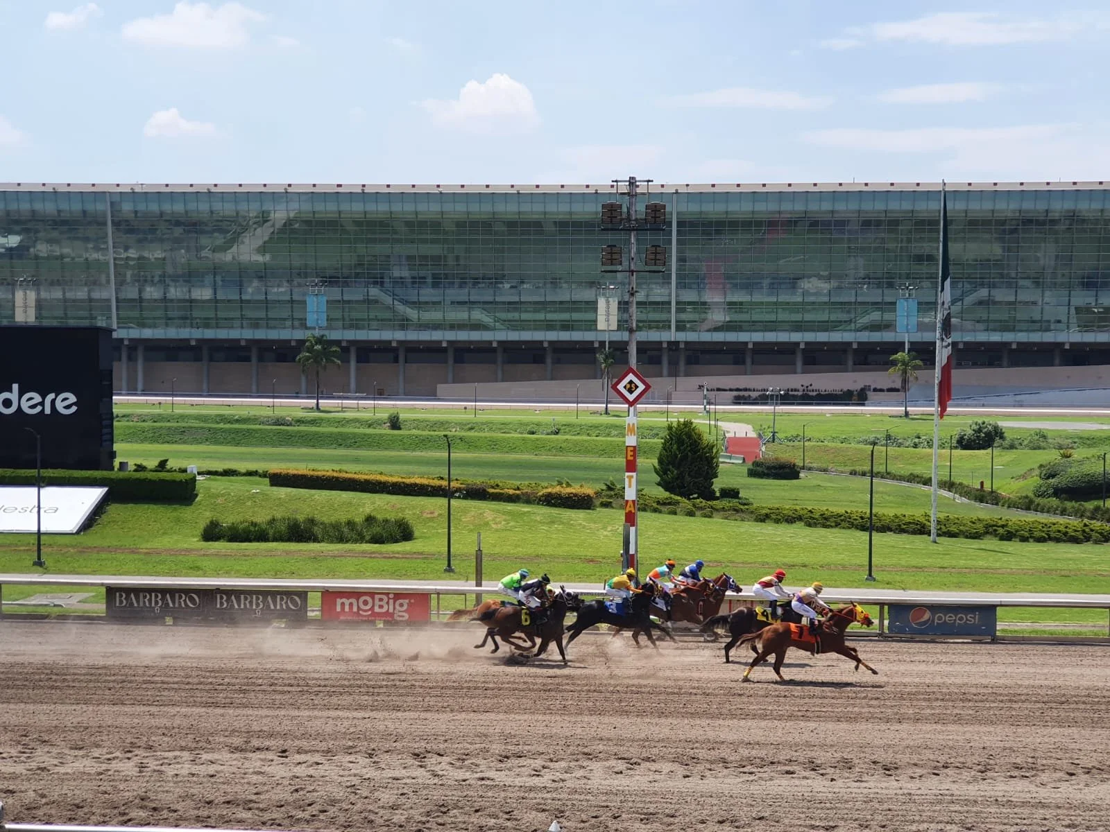 WhatsApp Image 2024-07-19 at 16.04.39 (6).jpeg