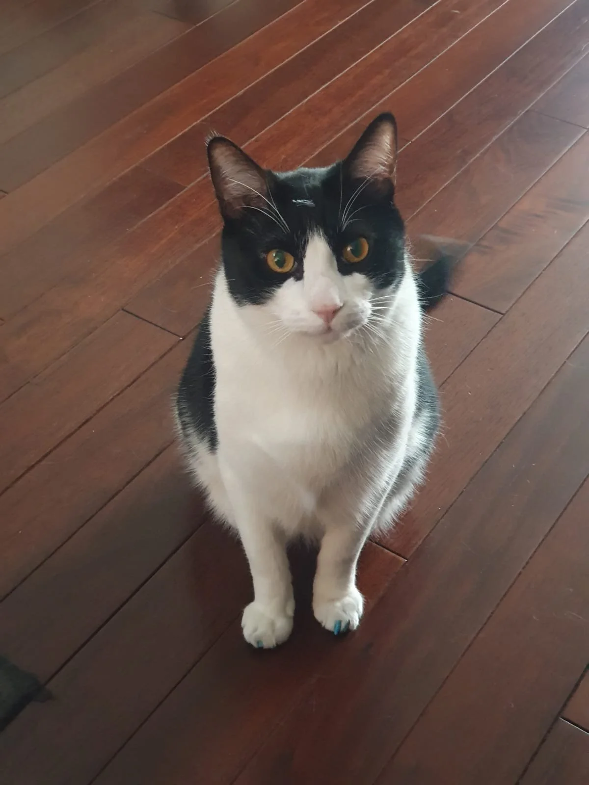 WhatsApp Image 2024-07-19 at 16.12.53 (3).jpeg