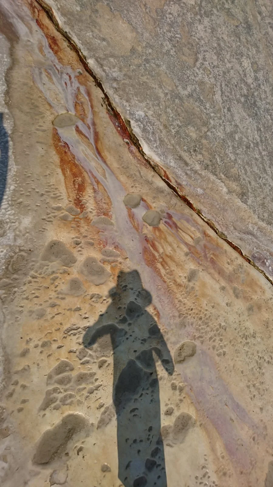 WhatsApp Image 2024-07-18 at 18.35.18 (2).jpeg