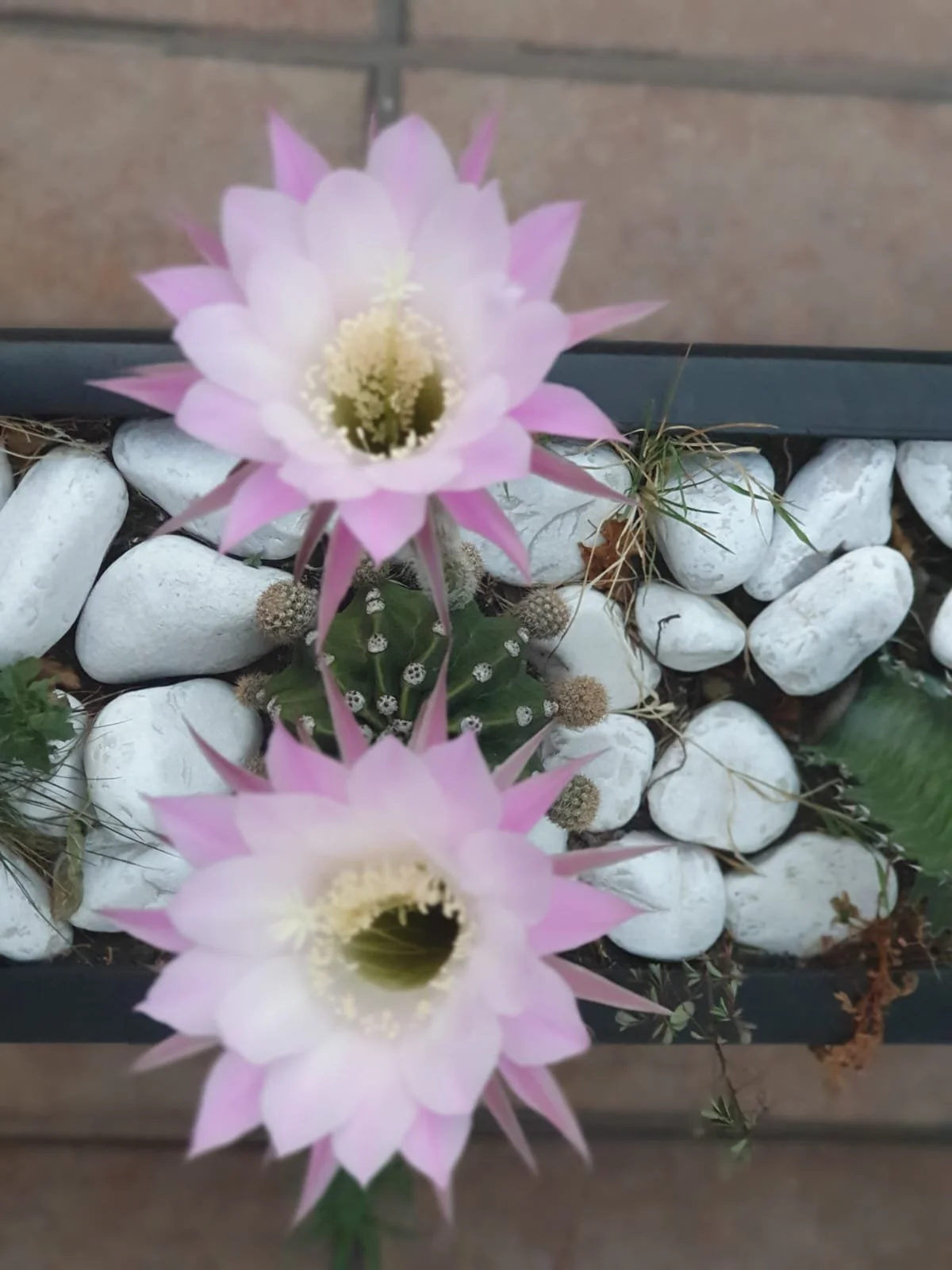 WhatsApp Image 2024-07-19 at 16.12.46 (1).jpeg