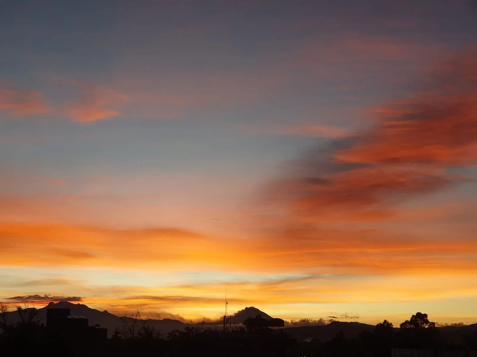 WhatsApp Image 2024-07-19 at 16.12.52 (4).jpeg