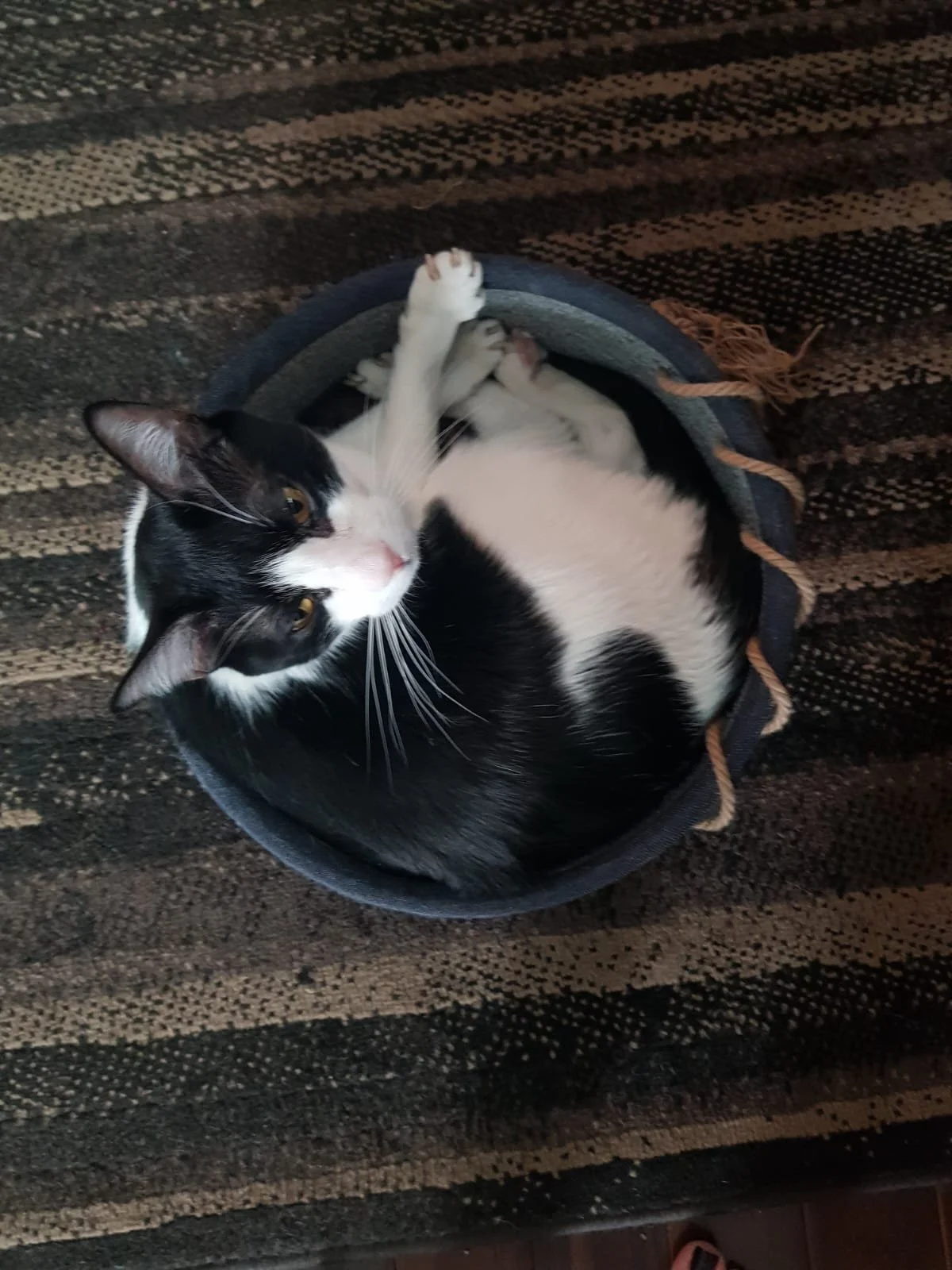 WhatsApp Image 2024-07-18 at 18.41.04.jpeg