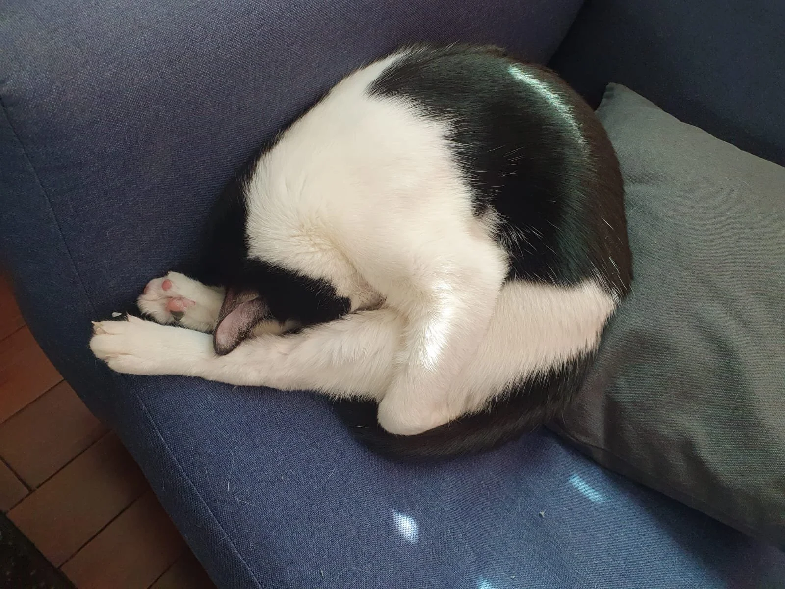 WhatsApp Image 2024-07-19 at 16.12.44 (5).jpeg