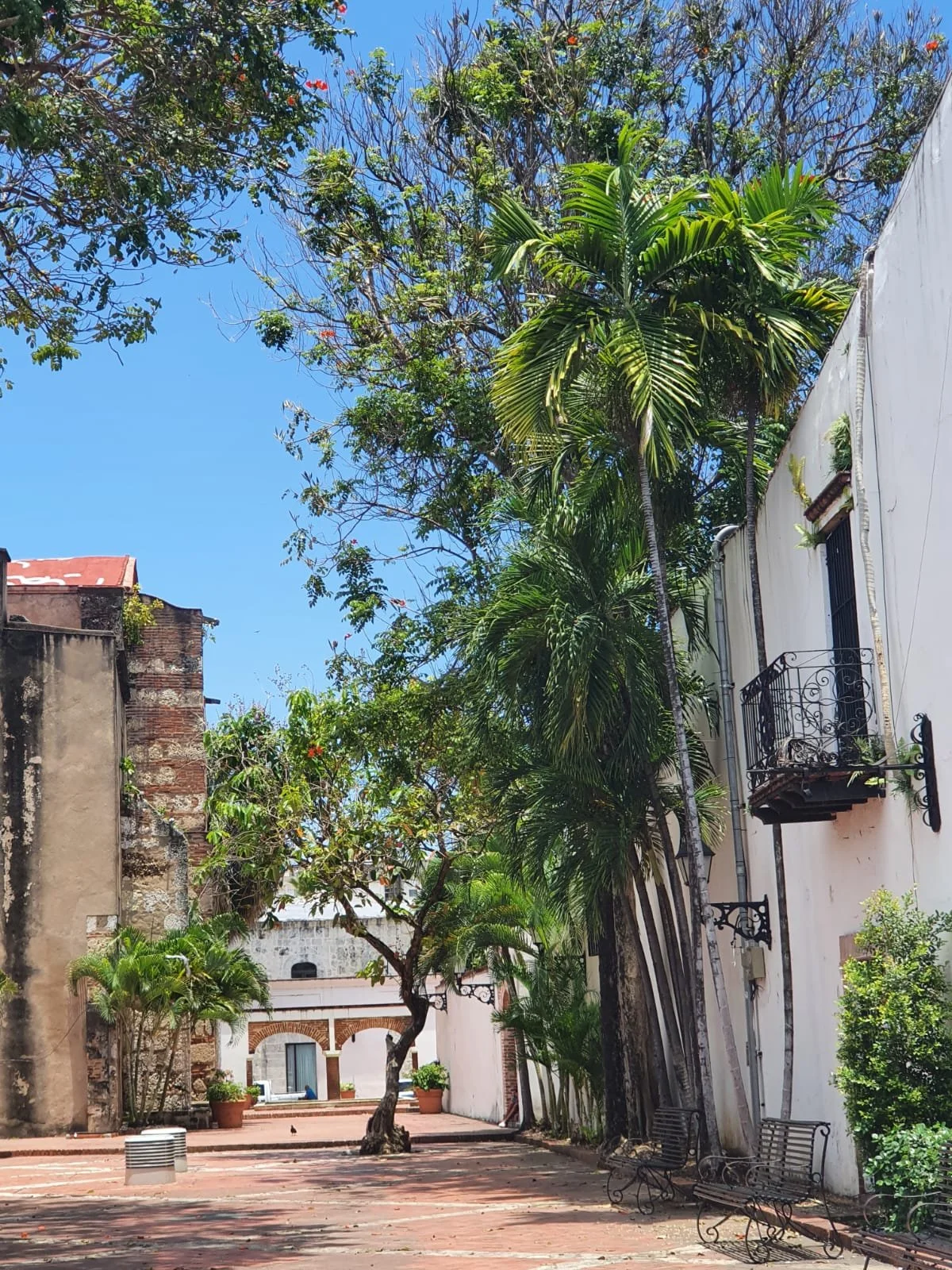 WhatsApp Image 2024-07-19 at 16.04.35.jpeg