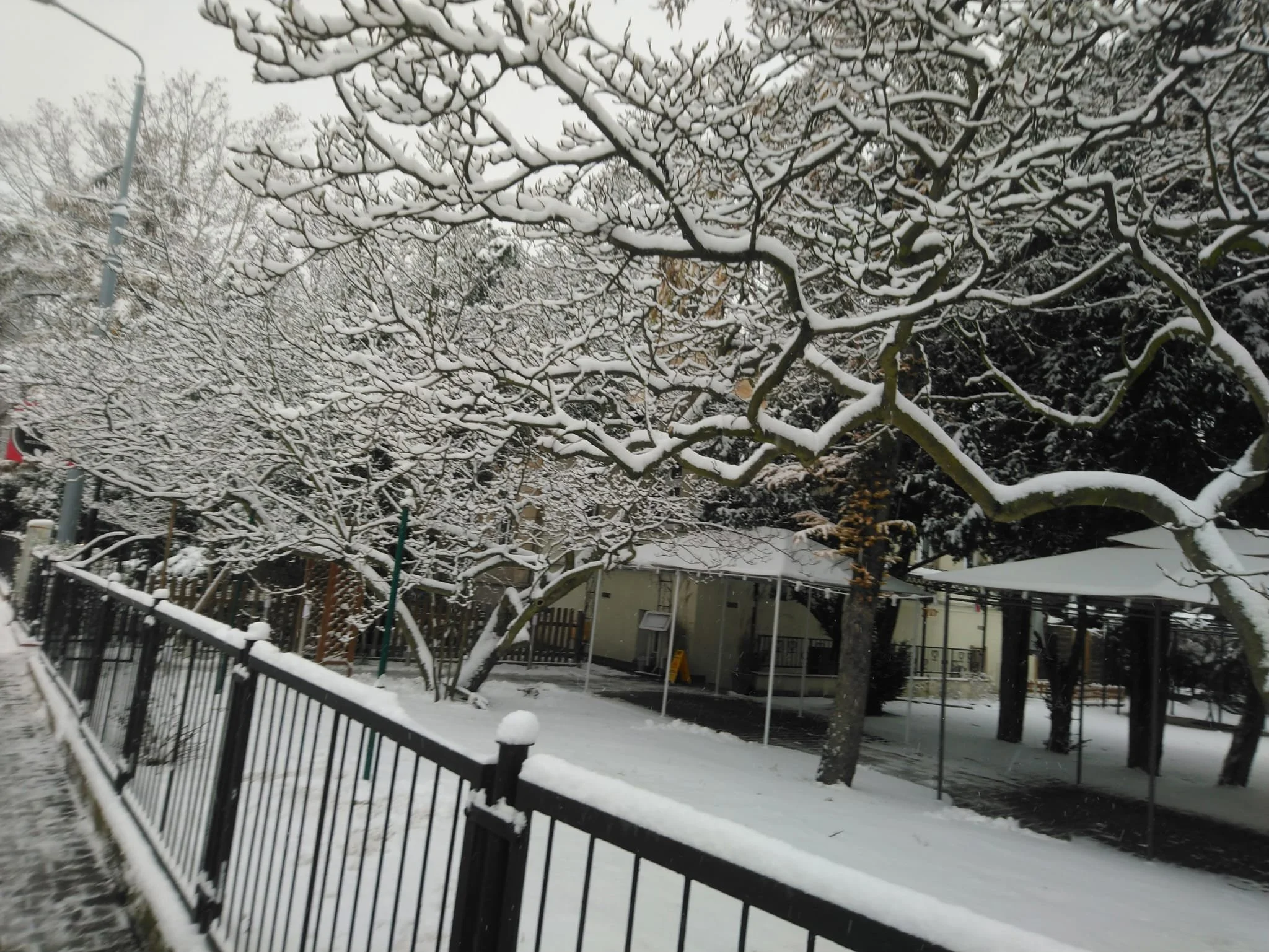 WhatsApp Image 2024-07-19 at 15.39.56 (4).jpeg