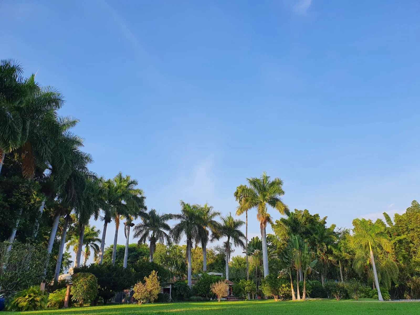 WhatsApp Image 2024-07-19 at 15.39.53.jpeg