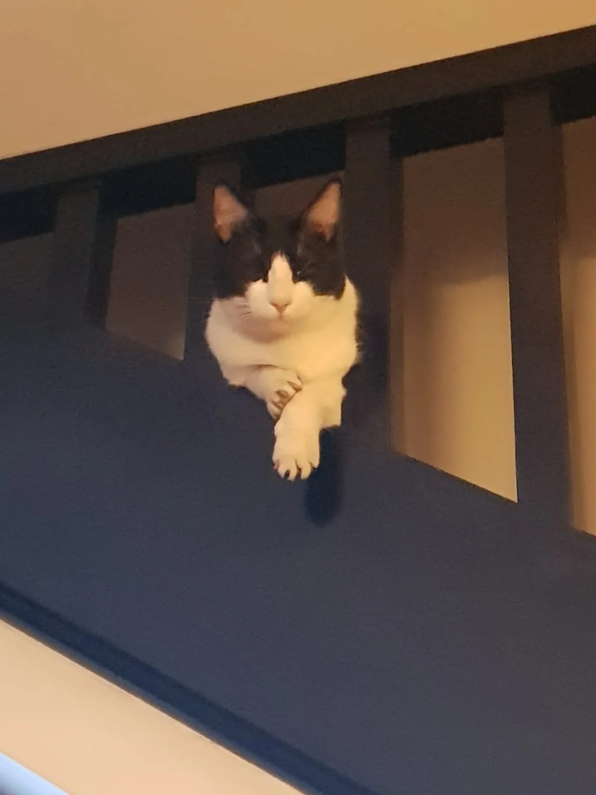 WhatsApp Image 2024-07-18 at 18.35.31 (1).jpeg