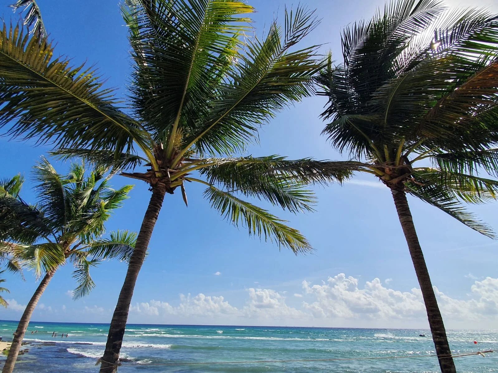 WhatsApp Image 2024-07-19 at 15.39.58 (1).jpeg