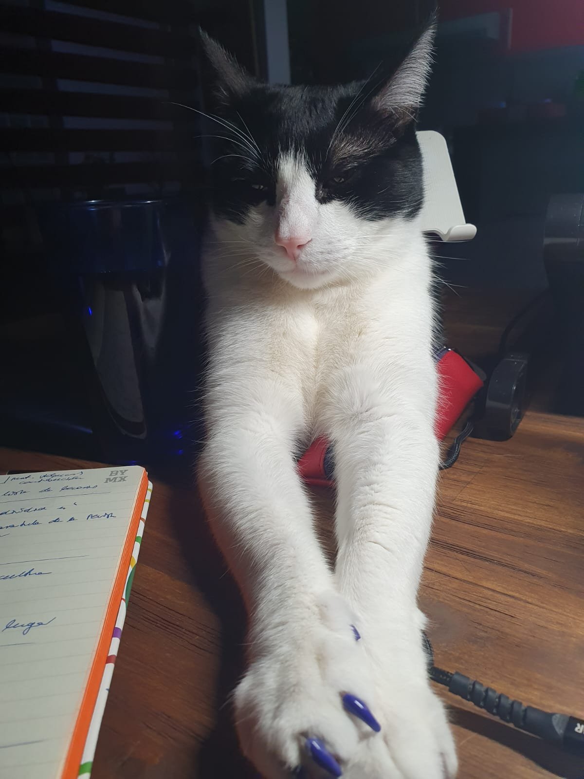 WhatsApp Image 2024-07-18 at 14.27.06.jpeg