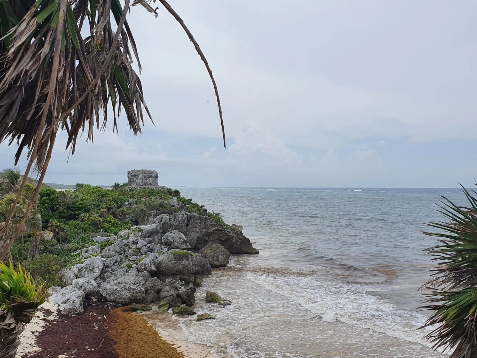 WhatsApp Image 2024-07-19 at 16.04.41.jpeg