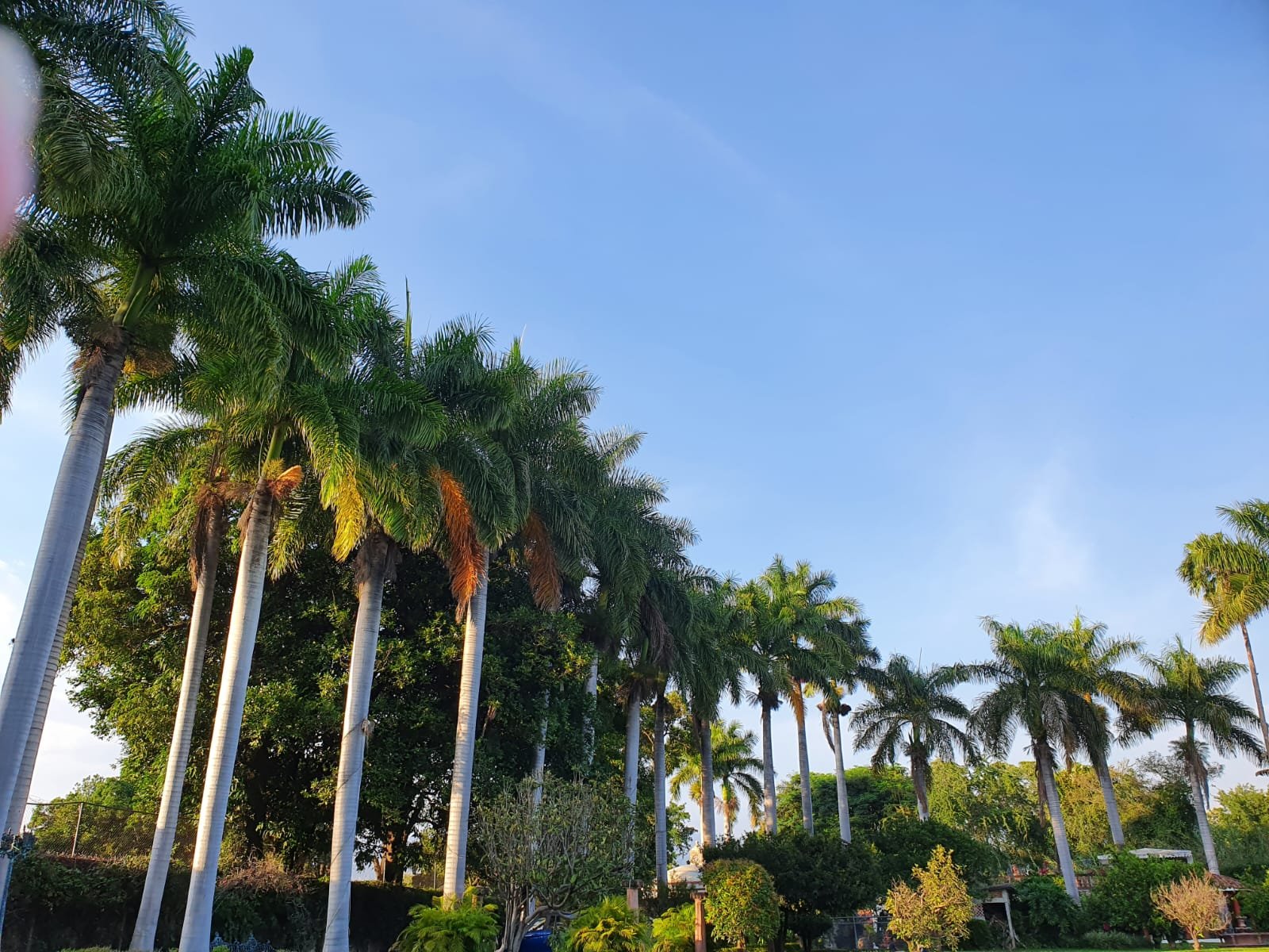 WhatsApp Image 2024-07-19 at 15.39.53 (1).jpeg