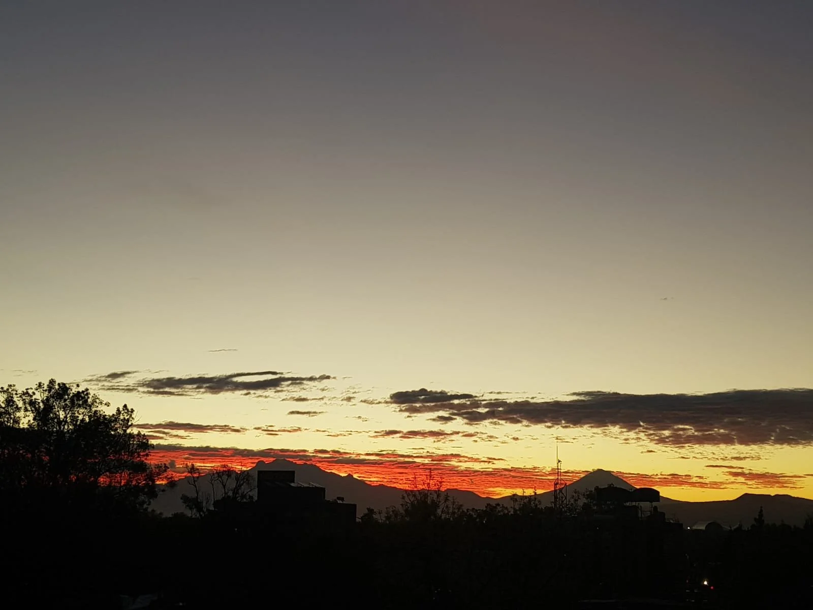 WhatsApp Image 2024-07-18 at 18.41.08 (4).jpeg