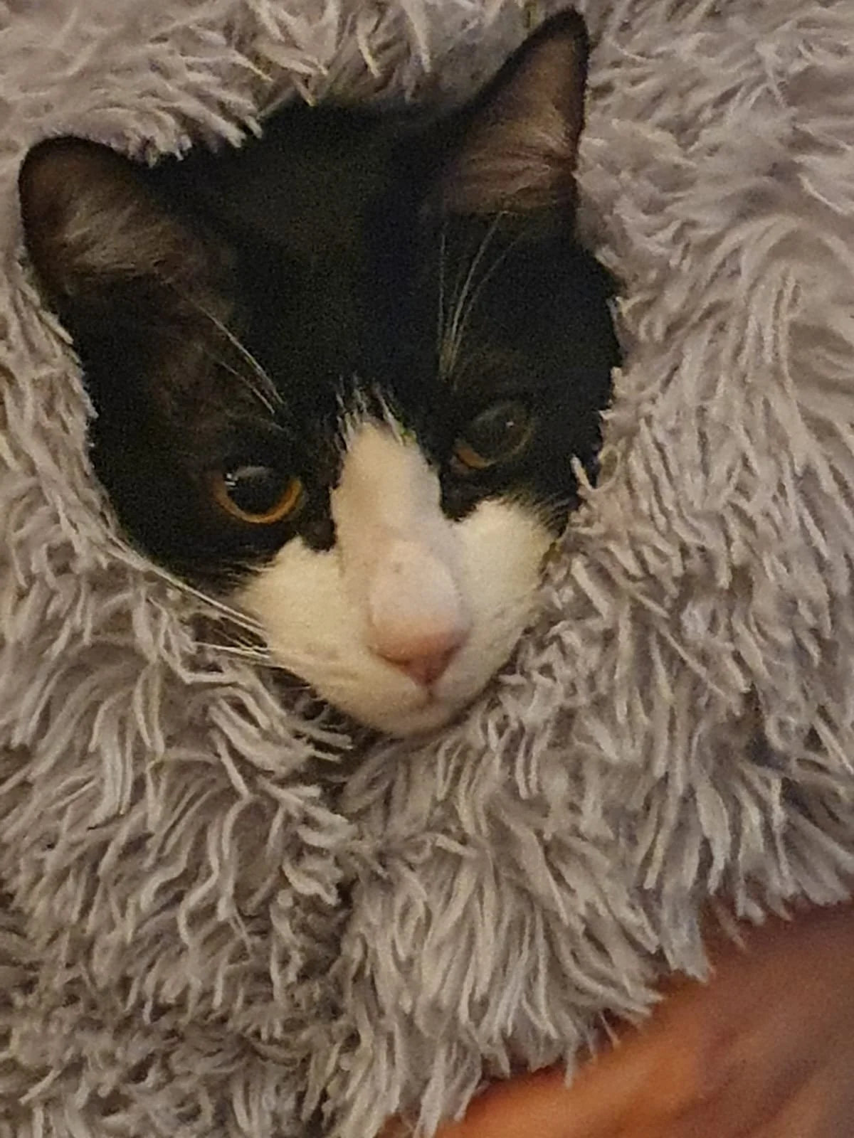 WhatsApp Image 2024-07-19 at 15.39.59 (1).jpeg