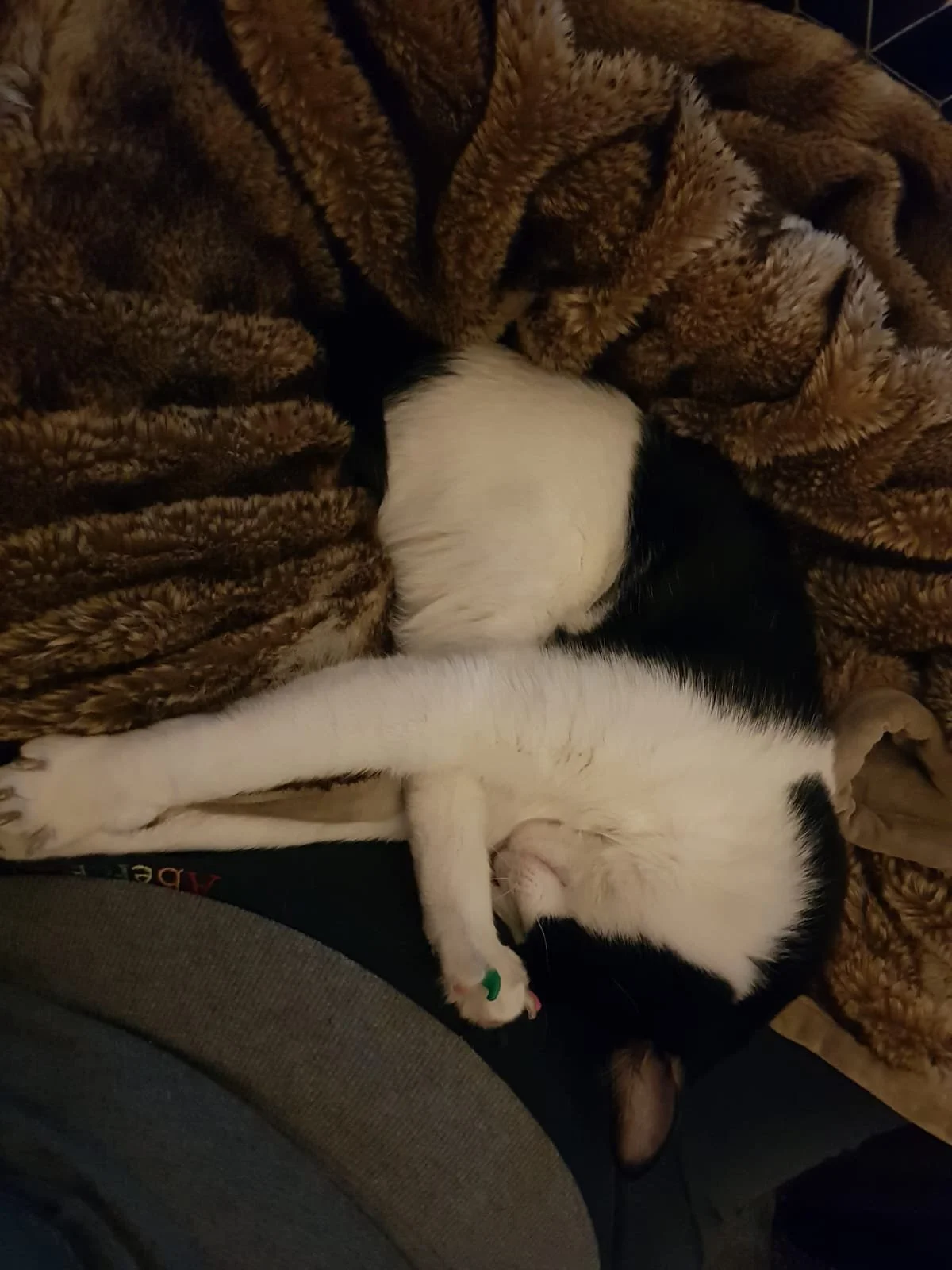 WhatsApp Image 2024-07-18 at 18.41.08 (3).jpeg