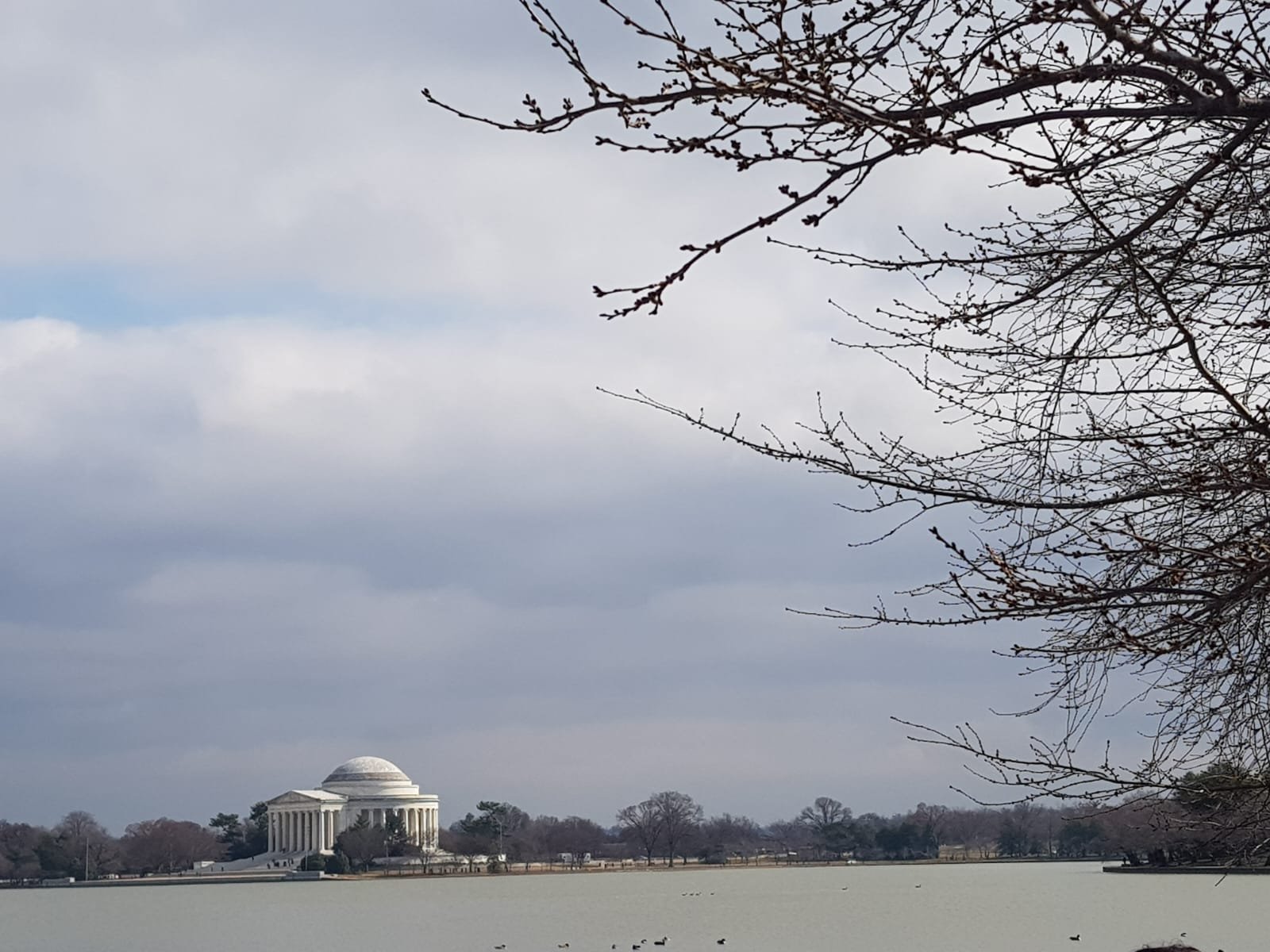 WhatsApp Image 2024-07-18 at 18.35.44.jpeg