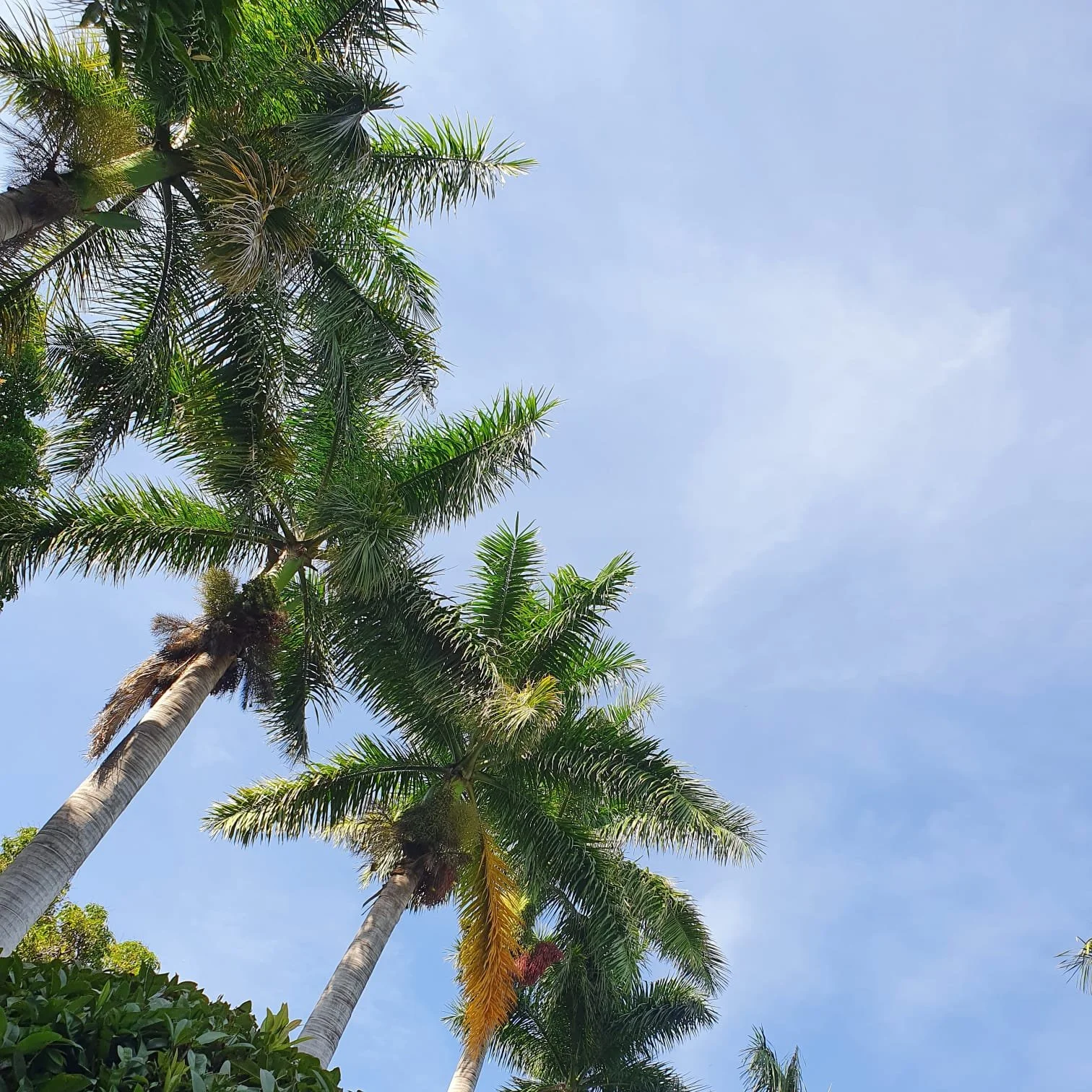 WhatsApp Image 2024-07-19 at 15.39.52.jpeg