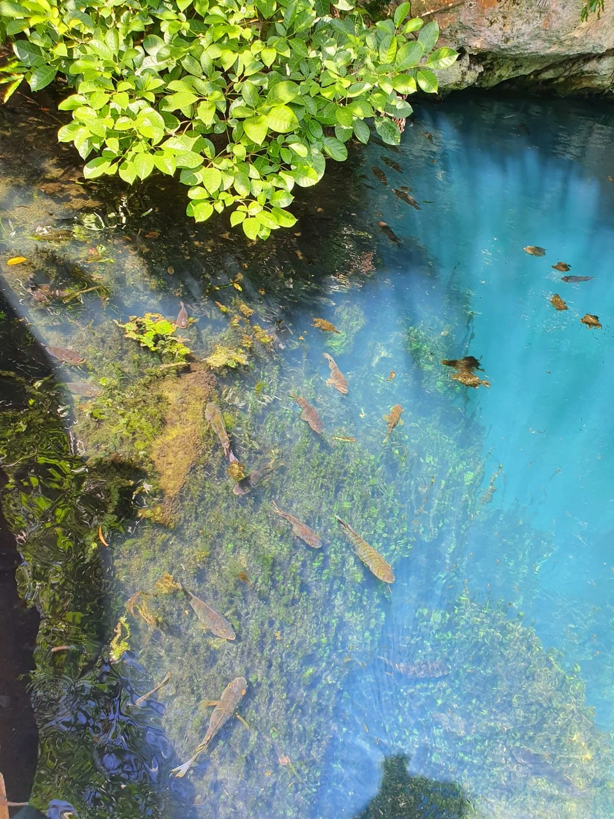 WhatsApp Image 2024-07-19 at 16.04.41 (2).jpeg