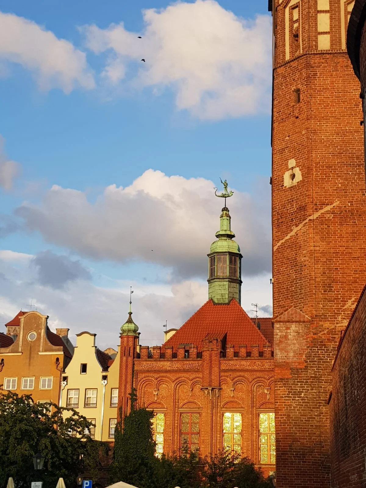 WhatsApp Image 2024-07-18 at 18.41.05 (3).jpeg