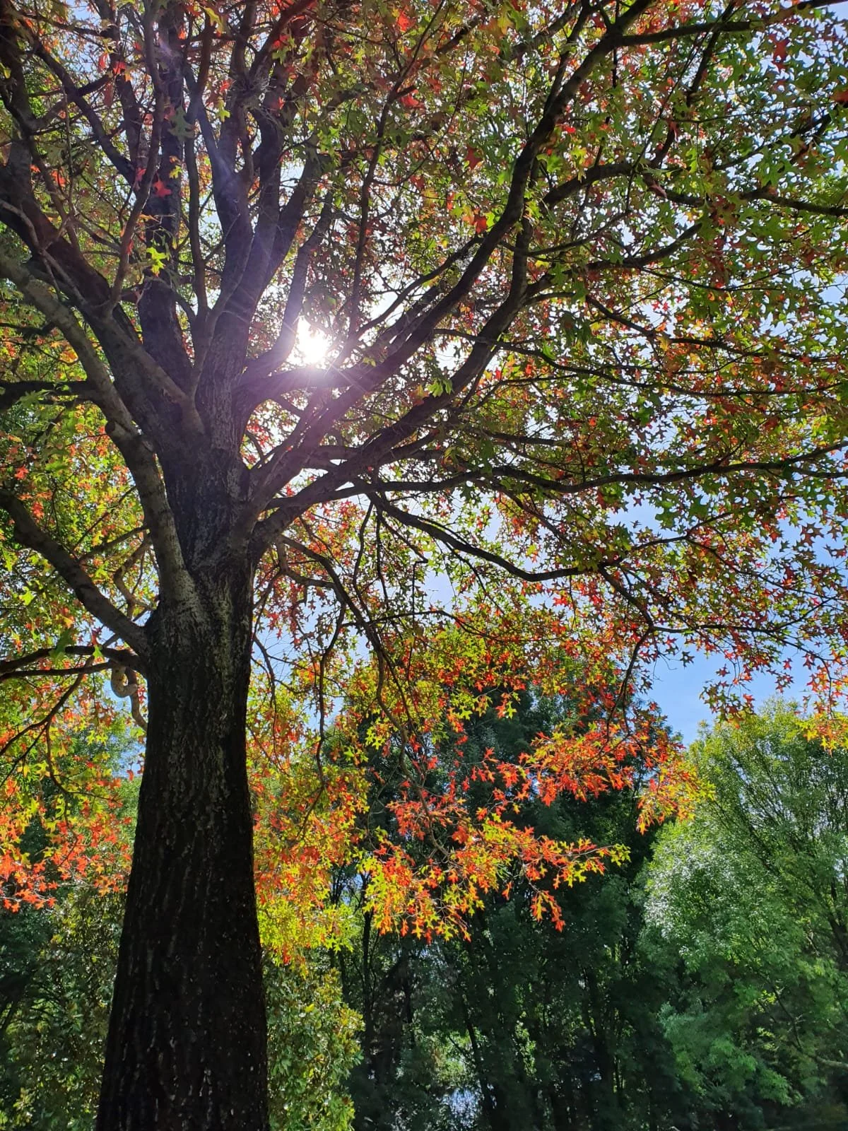 WhatsApp Image 2024-07-19 at 13.49.30.jpeg