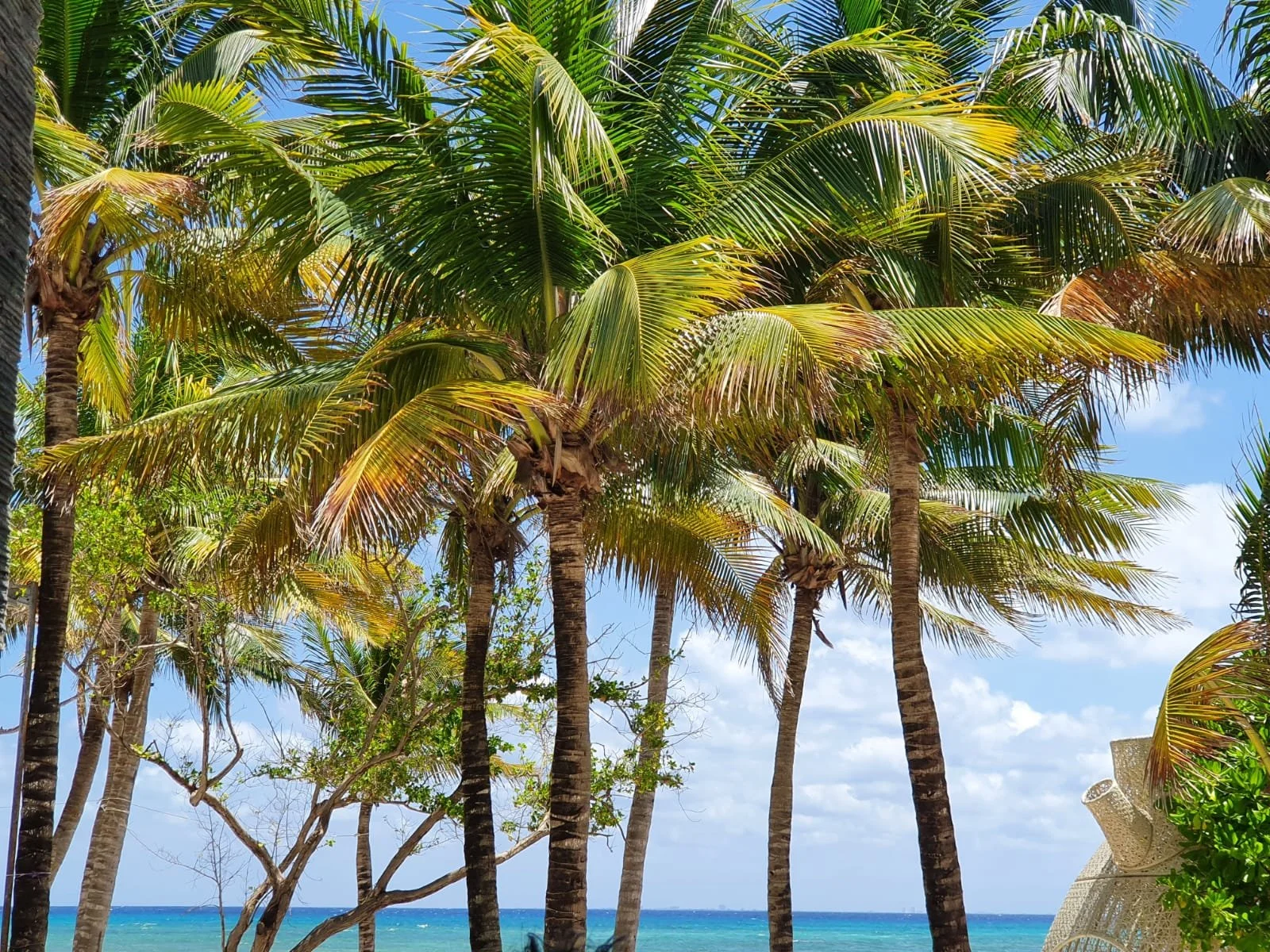 WhatsApp Image 2024-07-18 at 14.27.07 (4).jpeg