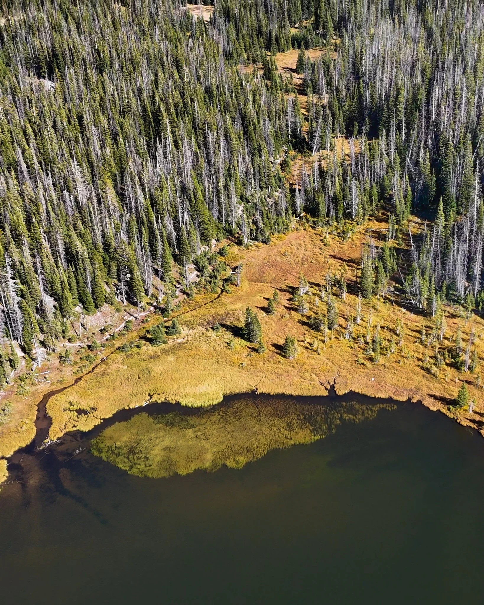 Zimmerman Lake, Roosevelt Nat'l Forest, Colorado

This beautiful lake is nestled right at the top of the Poudre Canyon, just before Cameron Pass, sitting perfectly in between the Rawah and Neota Wildernesses.

Not only is it lush and secluded, it is 