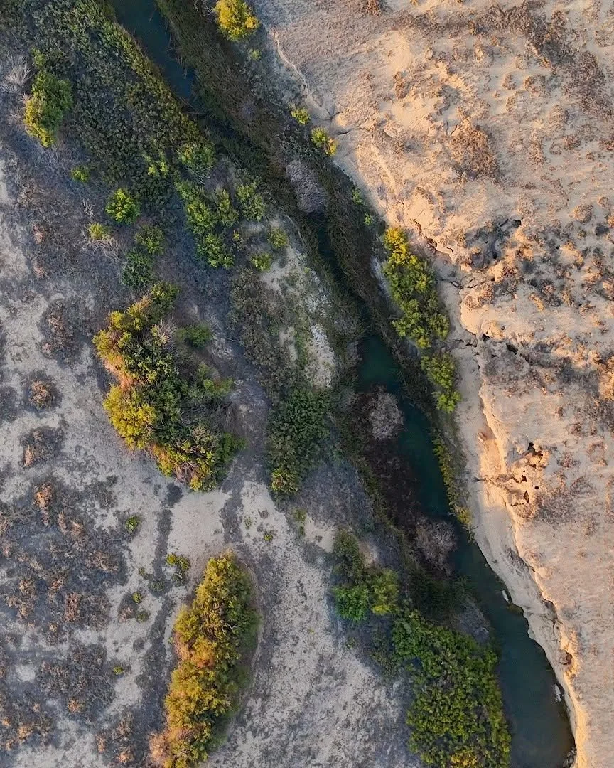 Comanche Nat'l Grassland, Colorado

From September to October in southeastern Colorado, male tarantulas emerge from their burrows to wander the grassland in search of a mate. Often called a migration, their journey lacks a start and end point and ins