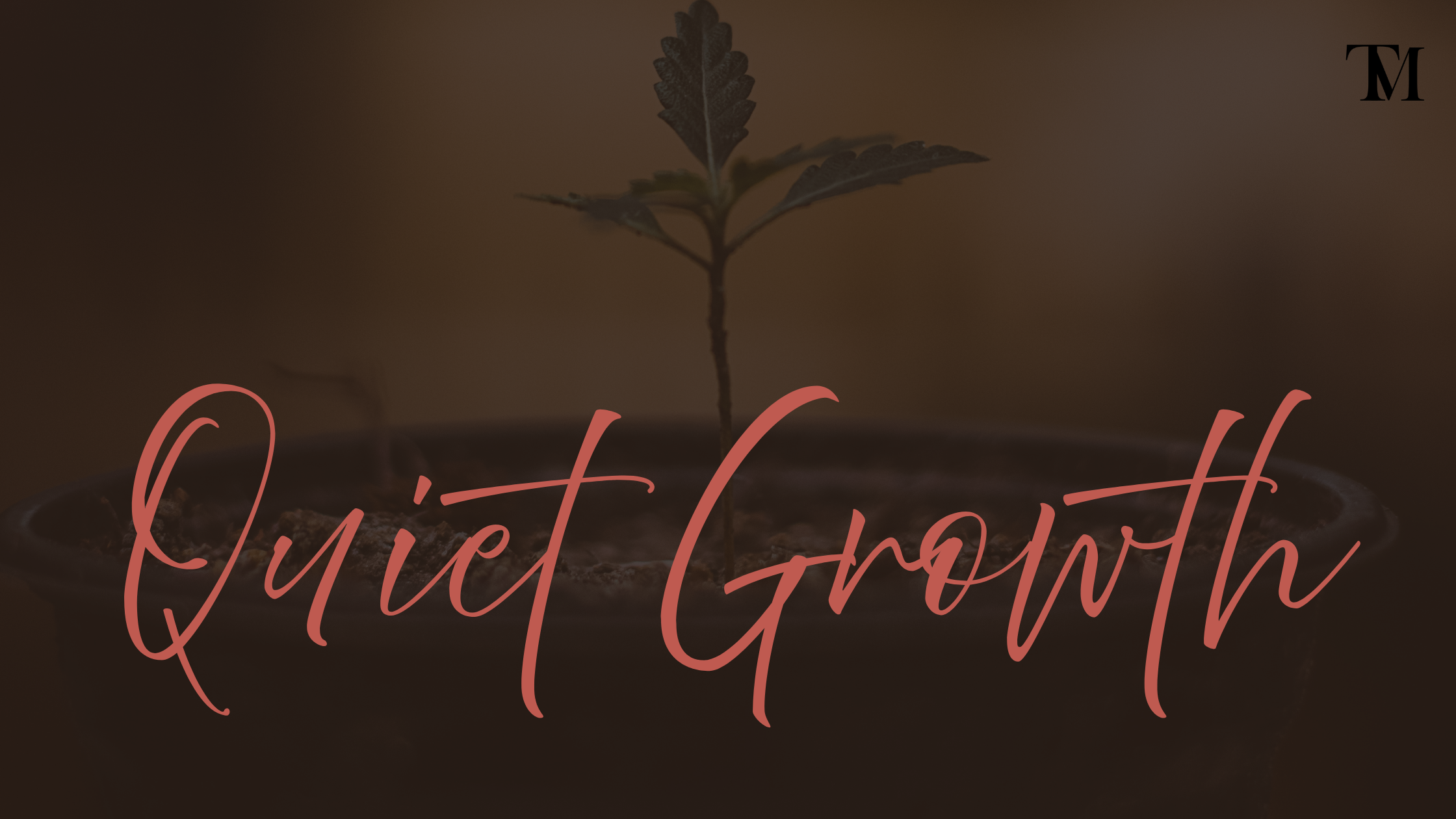 Quiet Growth