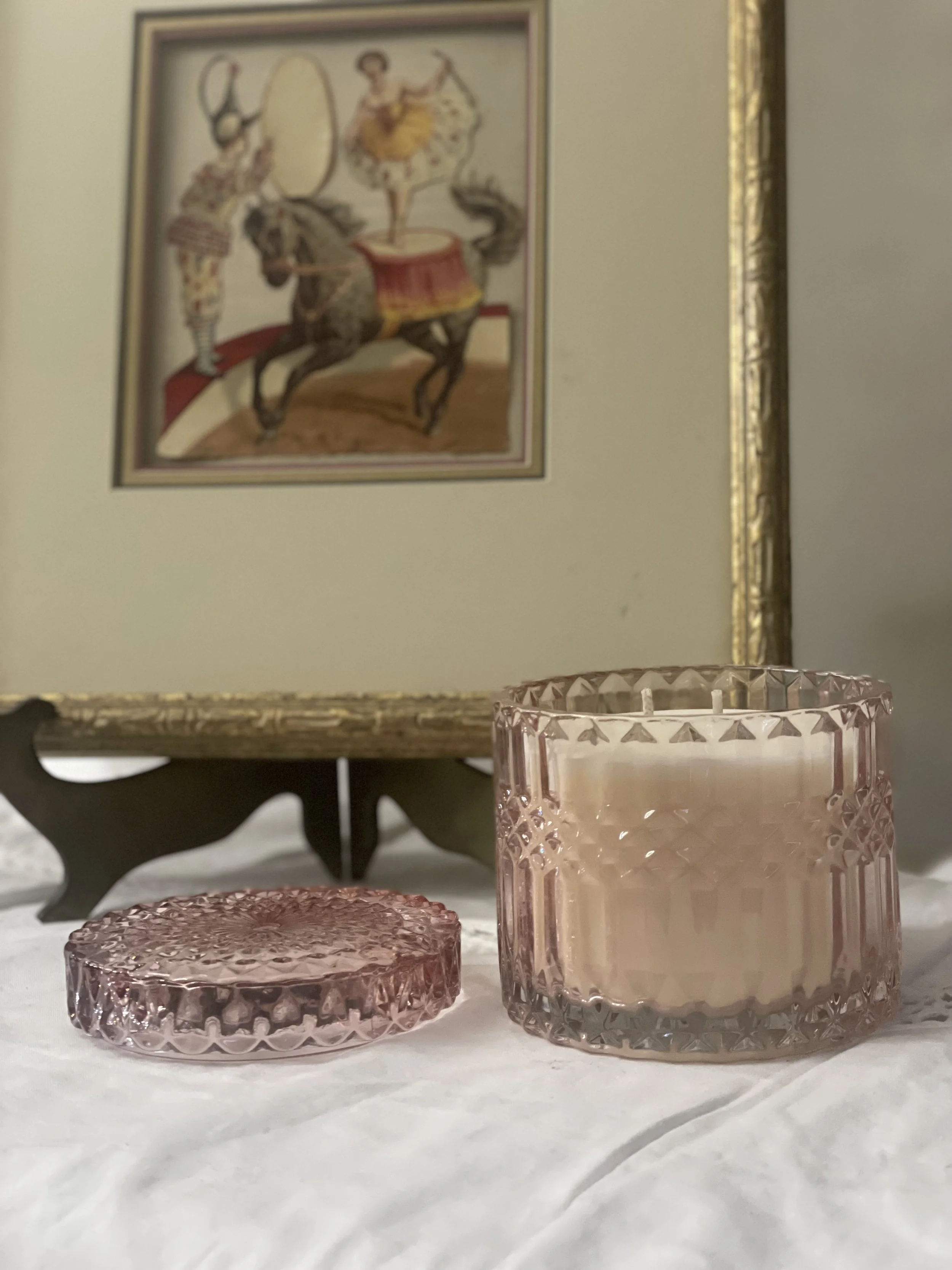 bamboo agave (2).jpg