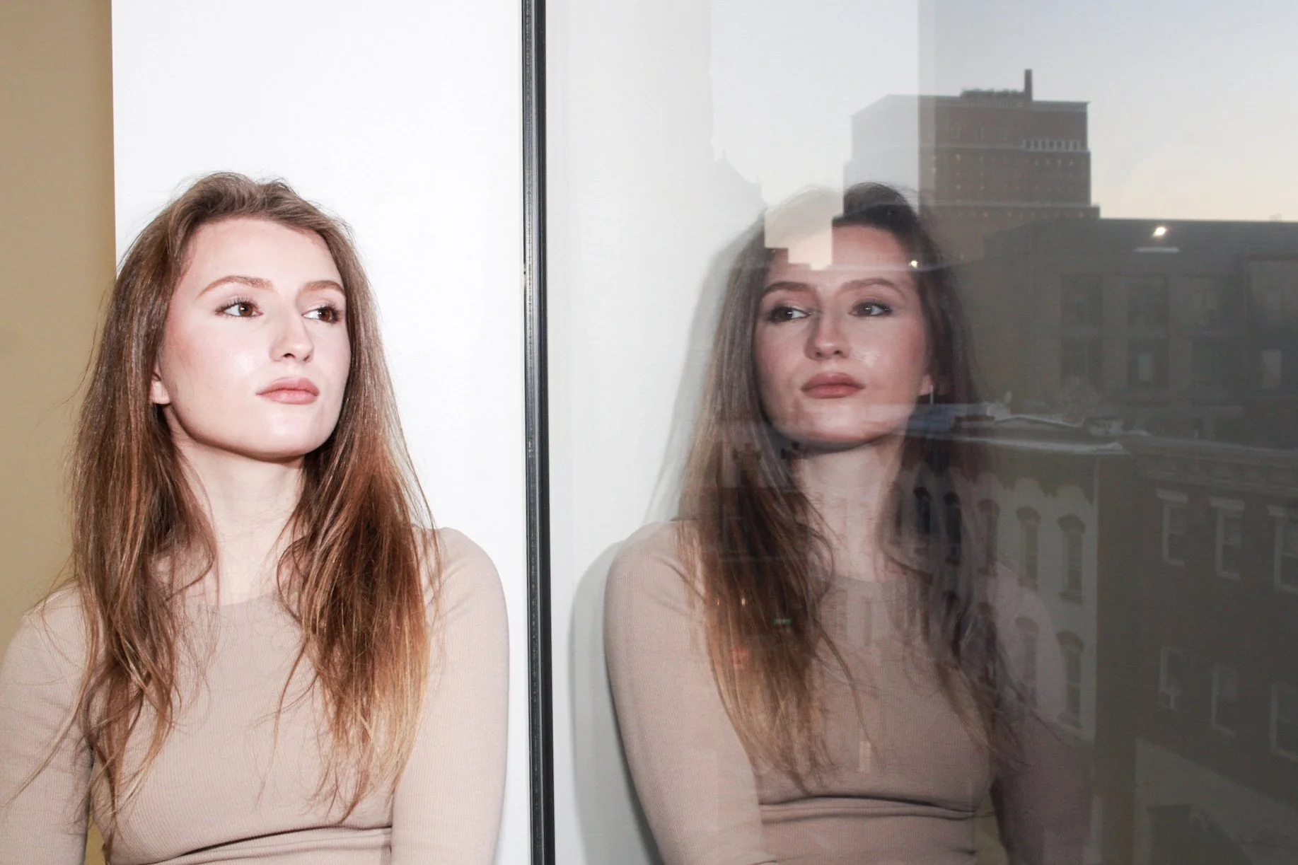 window face color.JPG