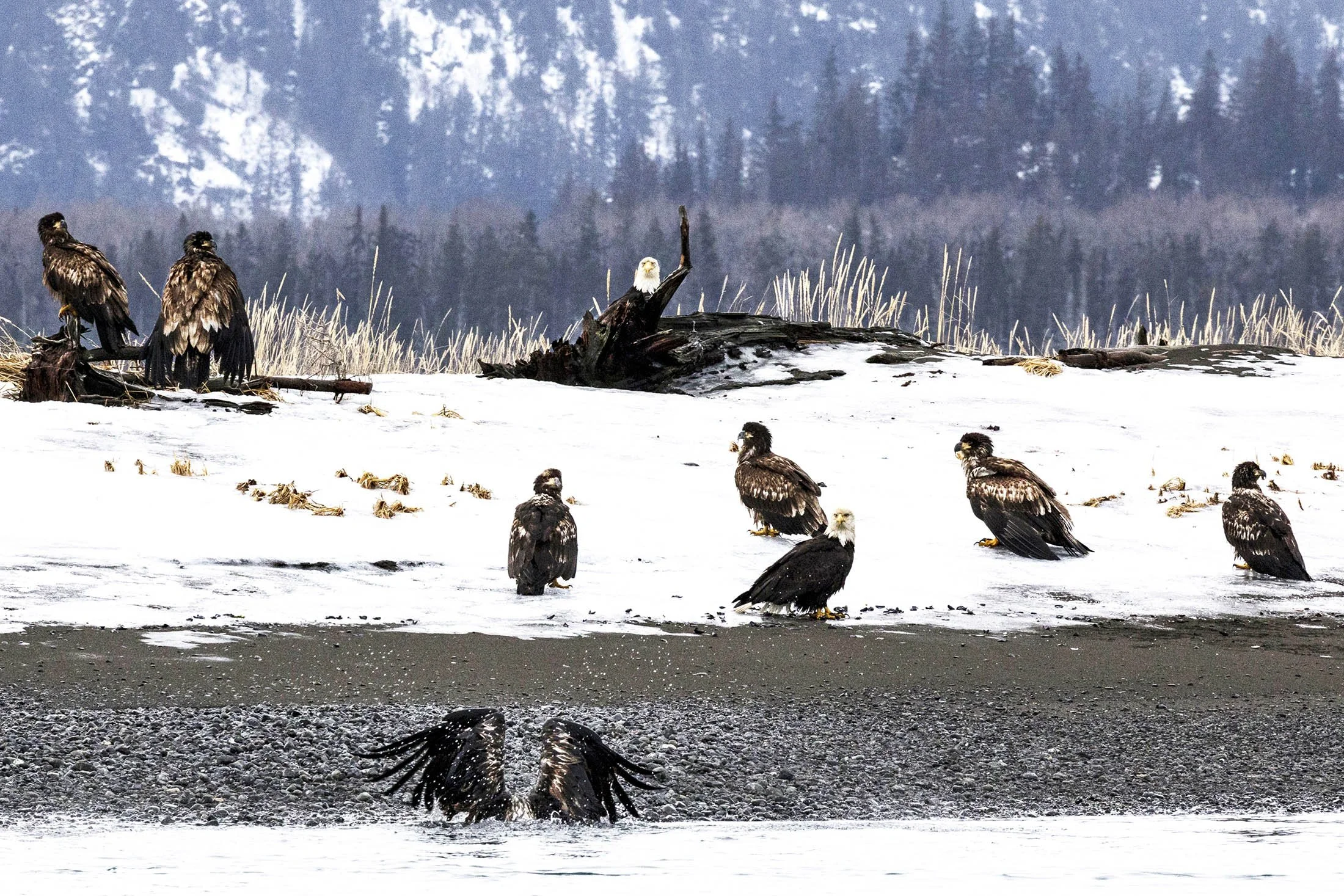 0520170127ChinaBay01 copy.jpg