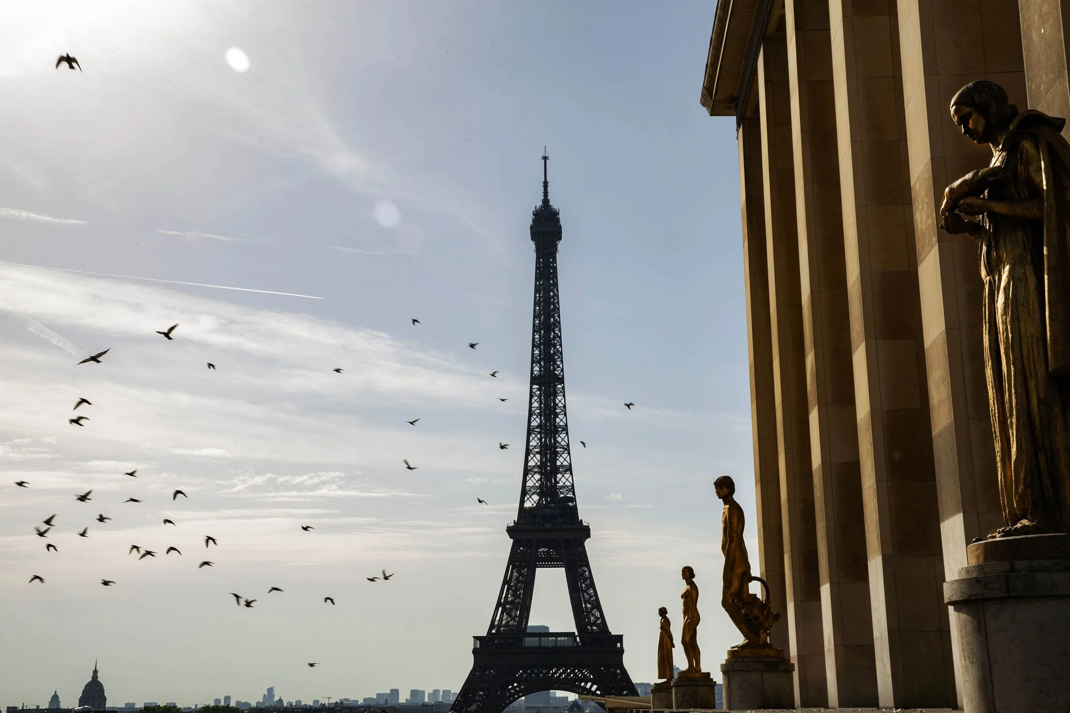 031E8A5386Paris2025.jpg